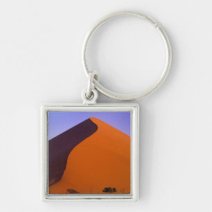 Africa, Namibia, Namib NP, Sossusvlei, Sand Key Ring