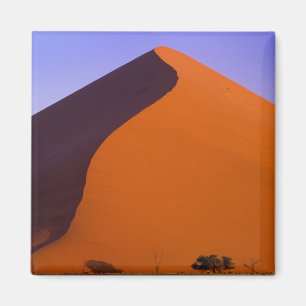 Africa, Namibia, Namib NP, Sossusvlei, Sand Magnet