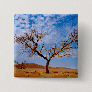 Africa, Namibia, Naukluft National Park, 15 Cm Square Badge
