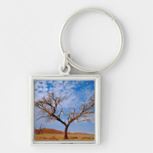 Africa, Namibia, Naukluft National Park, Key Ring