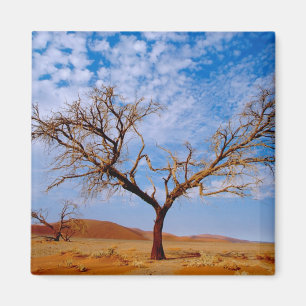Africa, Namibia, Naukluft National Park, Magnet