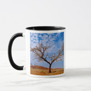 Africa, Namibia, Naukluft National Park, Mug