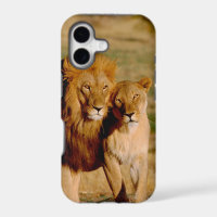 Africa, Namibia, Okonjima. Lion & lioness