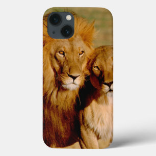 Africa, Namibia, Okonjima. Lion & lioness iPhone 13 Case