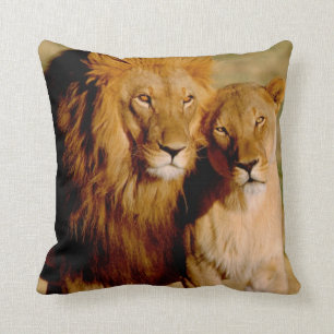 Africa, Namibia, Okonjima. Lion & lioness Cushion