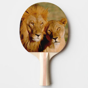 Africa, Namibia, Okonjima. Lion & lioness Ping Pong Paddle