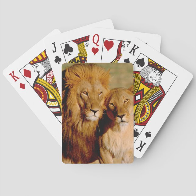 Africa, Namibia, Okonjima. Lion & lioness Playing Cards (Back)