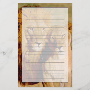 Africa, Namibia, Okonjima. Lion & lioness Stationery