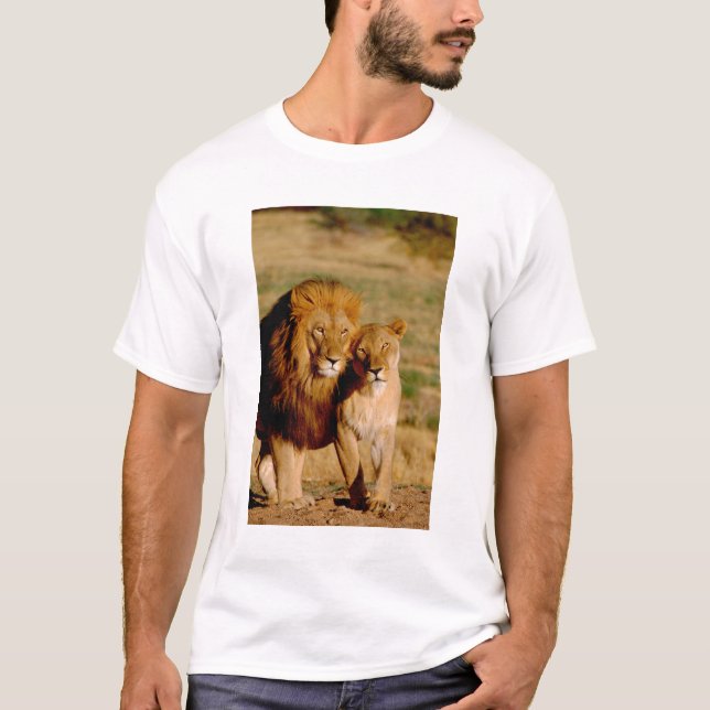 Africa, Namibia, Okonjima. Lion & lioness T-Shirt (Front)