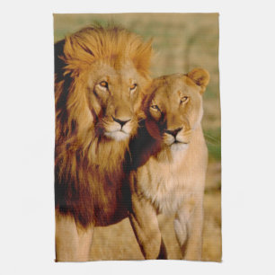 Africa, Namibia, Okonjima. Lion & lioness Tea Towel