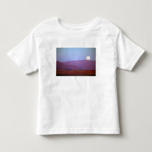 Africa, Namibia, Sossusvlei. A full moon rests Toddler T-Shirt