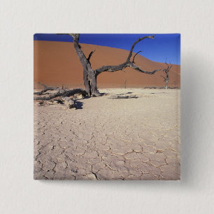 Africa, Namibia, Sossusvlei Region. Sand dunes 15 Cm Square Badge