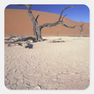 Africa, Namibia, Sossusvlei Region. Sand dunes Square Sticker