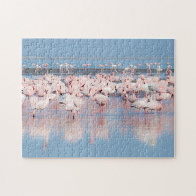 Africa, Namibia, Walvis Bay Jigsaw Puzzle (Horizontal)