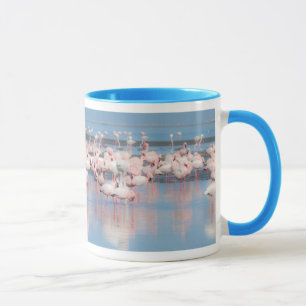 Africa, Namibia, Walvis Bay Mug