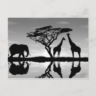 Africa Postcard