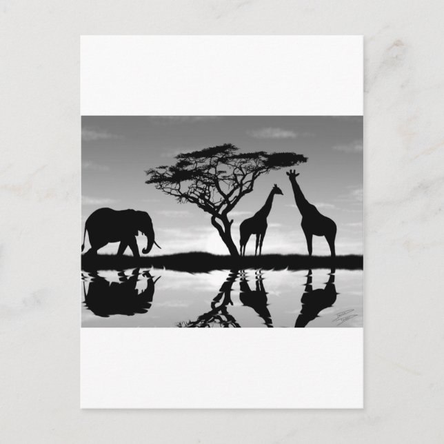 Africa Postcard (Front)