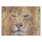 Africa safari animal wildlife majestic lion