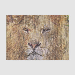 Africa safari animal wildlife majestic lion tissue paper