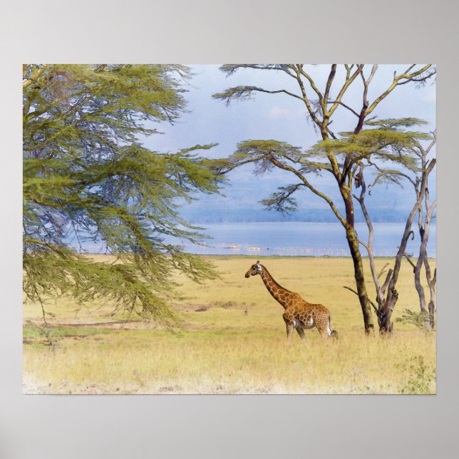 Africa Safari Giraffe Watercolor Painting Poster (Front)