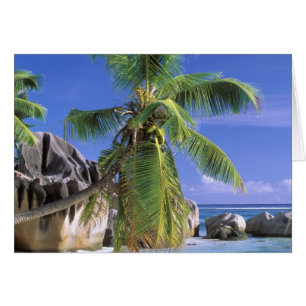 Africa, Seychelles, La Digue Island. Granite 2