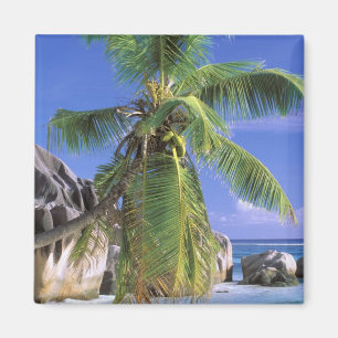 Africa, Seychelles, La Digue Island. Granite 2 Magnet