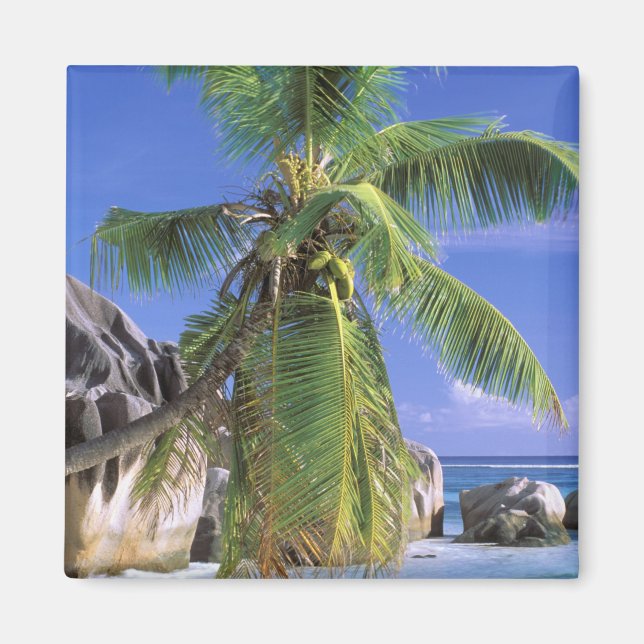 Africa, Seychelles, La Digue Island. Granite 2 Magnet (Front)