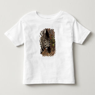Africa, South Africa, Kruger NP Zebra portrait Toddler T-Shirt