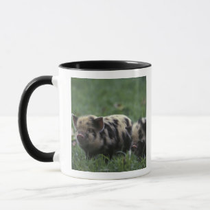 Africa, South Africa, near Gansbaii Domestic Mug