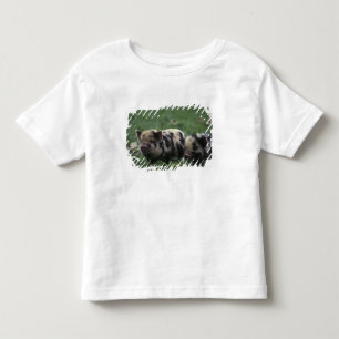Africa, South Africa, near Gansbaii Domestic Toddler T-Shirt