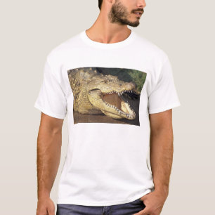Africa, South Africa Nile crocodile T-Shirt