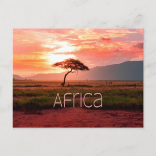 Africa Sunset African Postcard