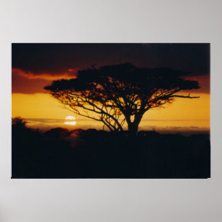 africa sunset poster