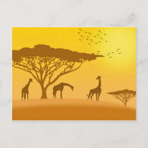 Africa Sunset Silhouette Postcard