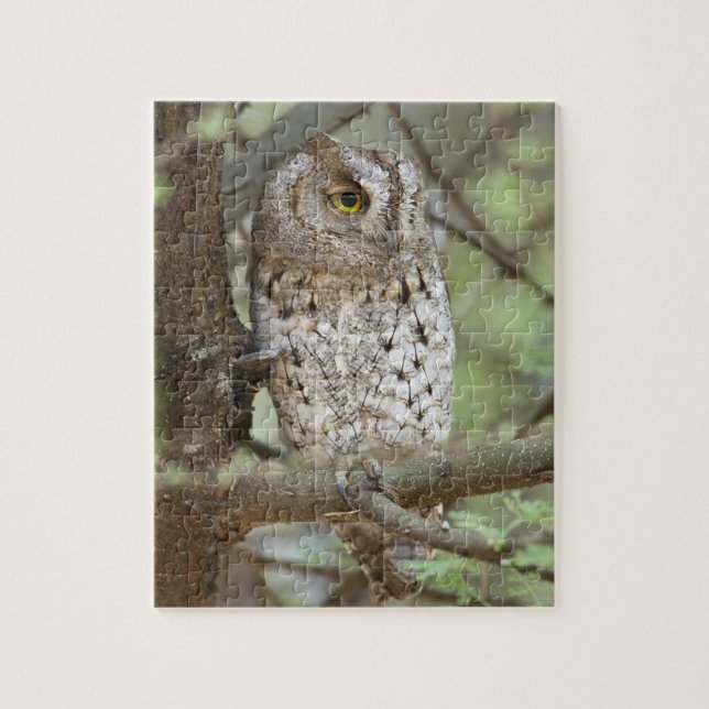 Africa. Tanzania. African Scops Owl at Tarangire Jigsaw Puzzle (Vertical)
