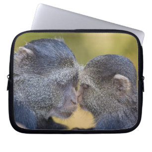 Africa. Tanzania. Blue Monkey mother with young Laptop Sleeve