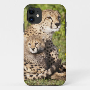 Africa. Tanzania. Cheetah mother and cubs 2 iPhone 11 Case
