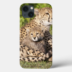 Africa. Tanzania. Cheetah mother and cubs 2 iPhone 13 Case