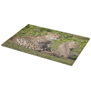 Africa. Tanzania. Cheetah mother and cubs 2 Cutting Board