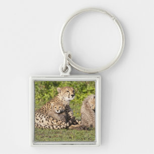 Africa. Tanzania. Cheetah mother and cubs 2 Key Ring