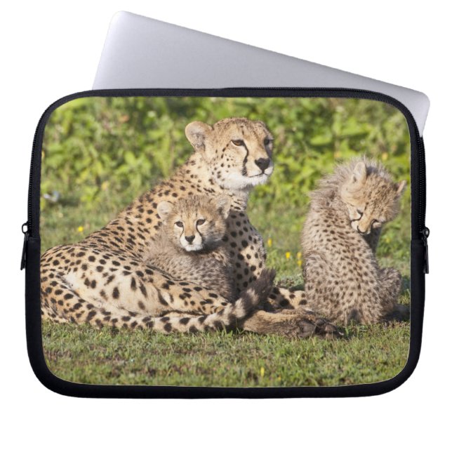Africa. Tanzania. Cheetah mother and cubs 2 Laptop Sleeve (Front)