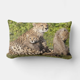 Africa. Tanzania. Cheetah mother and cubs 2 Lumbar Cushion