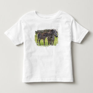 Africa. Tanzania. Common Zebra mother and baby Toddler T-Shirt