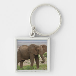 Africa. Tanzania. Elephant at Lake Manyara NP. Key Ring