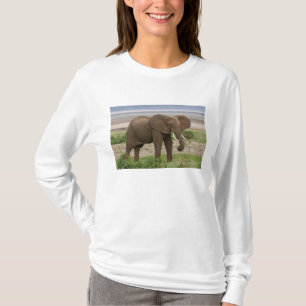 Africa. Tanzania. Elephant at Lake Manyara NP. T-Shirt