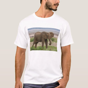 Africa. Tanzania. Elephant at Lake Manyara NP. T-Shirt