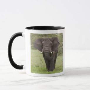 Africa Tanzania Elephant at Ngorongoro Crater Mug