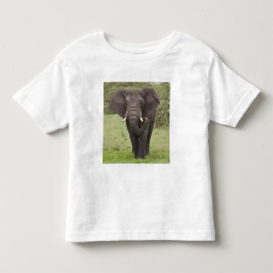 Africa Tanzania Elephant at Ngorongoro Crater Toddler T-Shirt