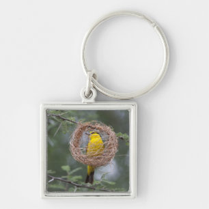 Africa. Tanzania. Female Black-Necked Weaver Key Ring
