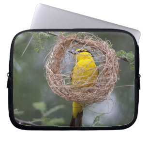 Africa. Tanzania. Female Black-Necked Weaver Laptop Sleeve
